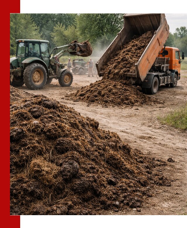 Доставка навоза самосвалами в Сосновом Бору для сельхозпотребностей